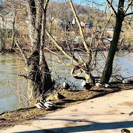 House Close To Nature * Esneux