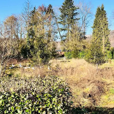 House Close To Nature