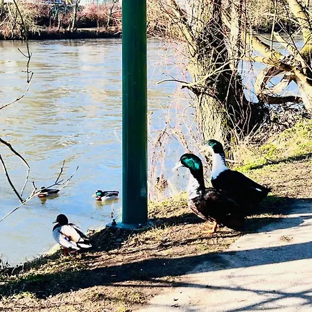 House Close To Nature Nyaraló