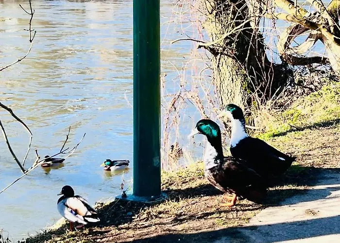 House Close To Nature בית נופש